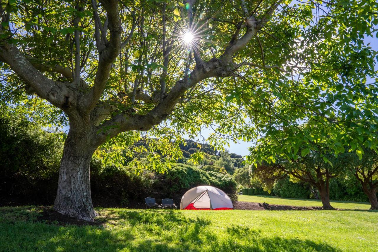 Akaroa Top 10 Holiday Park Εξωτερικό φωτογραφία