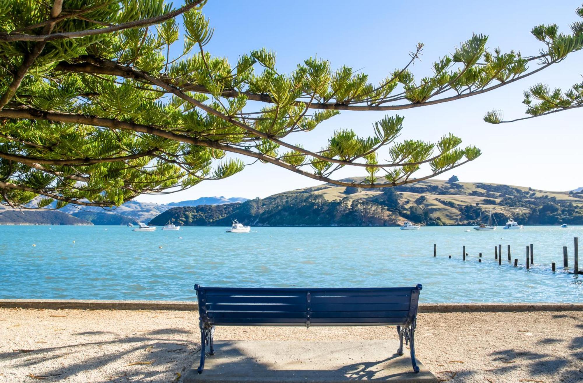 Akaroa Top 10 Holiday Park Εξωτερικό φωτογραφία